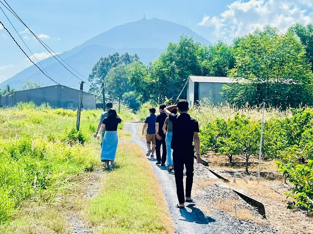 Dự báo thị trường bất động sản cuối năm 2025 tiếp tục đà phục hồi bền vững- Ảnh 2.