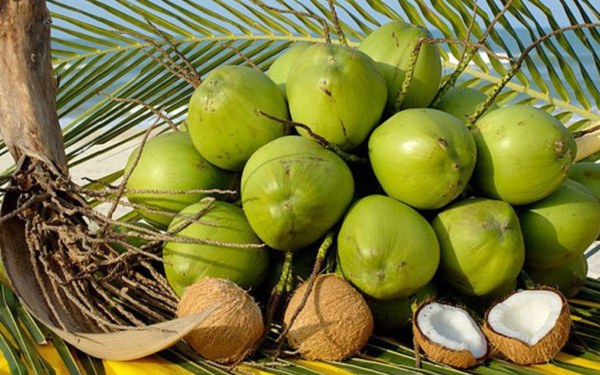 Mỹ lần đầu 'soán ngôi' Trung Quốc, chi 82 triệu USD nhập một 'sản vật triệu đô' của Việt Nam: Nhiều thị trường mê mẩn, nước ta xuất khẩu top 5 thế giới - Ảnh 1.