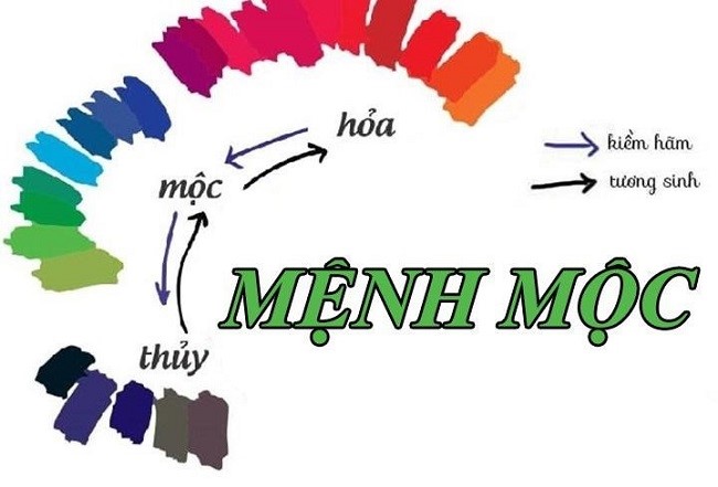 Nữ mệnh Mộc hợp màu gì - Cách lựa chọn màu giúp tăng vận may- Ảnh 3. Nữ mệnh Mộc hợp màu gì - Cách lựa chọn màu giúp tăng vận may- Ảnh 3.