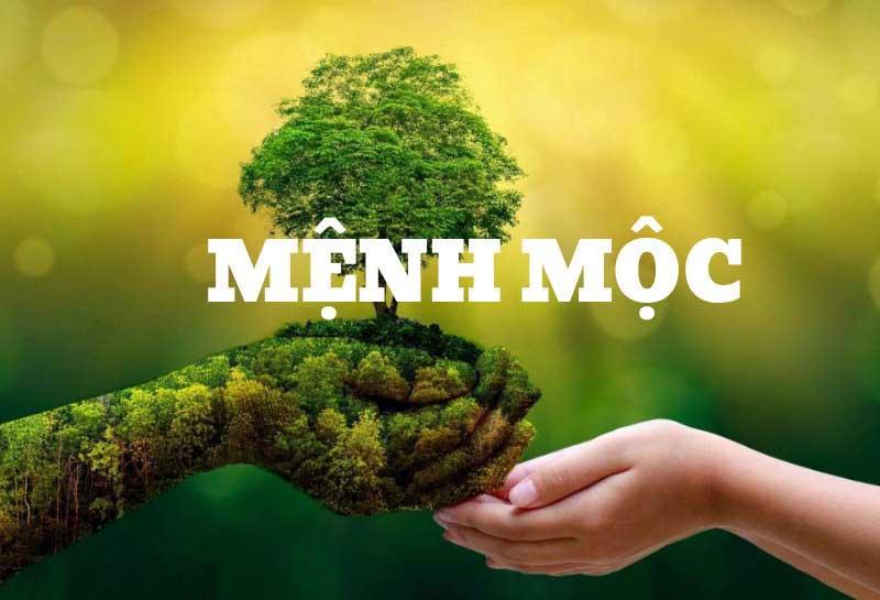 Nữ mệnh Mộc hợp màu gì - Cách lựa chọn màu giúp tăng vận may- Ảnh 2. Nữ mệnh Mộc hợp màu gì - Cách lựa chọn màu giúp tăng vận may- Ảnh 2.