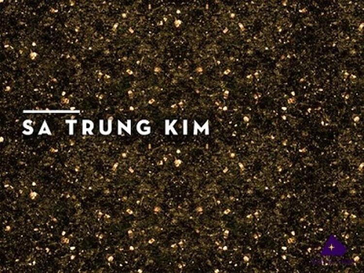 Luận giải Sa Trung Kim: ý nghĩa, tính cách, màu sắc và hướng nhà hợp- Ảnh 1. Luận giải Sa Trung Kim: ý nghĩa, tính cách, màu sắc và hướng nhà hợp- Ảnh 1.
