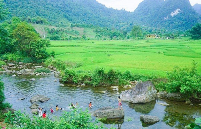 Vườn quốc gia duy nhất có rừng nguyên sinh trên núi đá vôi sẽ được phát triển thành khu du lịch quốc gia- Ảnh 1. Vườn quốc gia duy nhất có rừng nguyên sinh trên núi đá vôi sẽ được phát triển thành khu du lịch quốc gia- Ảnh 1.