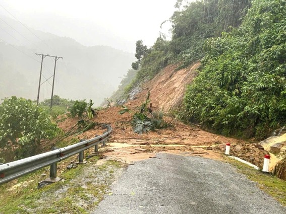 Tết An Bình 2026 quay trở lại, tiếp nối hành trình Xanh An Bình – Xanh Việt Nam tại Nghệ An - Ảnh 2.