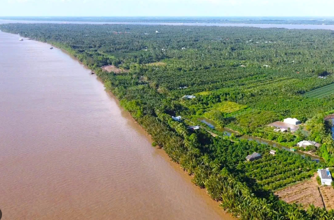 Quy hoạch cù lao được mệnh danh ‘Vương quốc bần’ miền Tây thành trung tâm du lịch sinh thái – nghỉ dưỡng cao cấp- Ảnh 1.