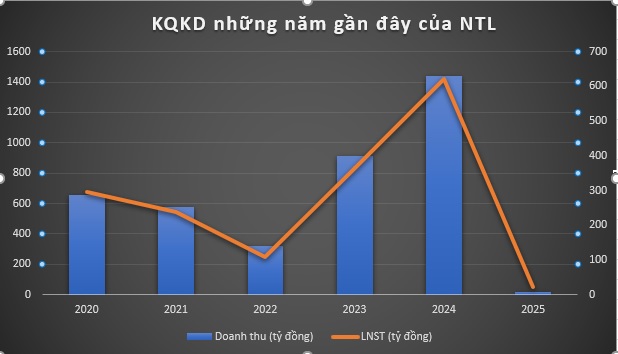Gần 20 năm niêm yết, một doanh nghiệp bất động sản ghi nhận kết quả kinh doanh thấp chưa từng có- Ảnh 1.
