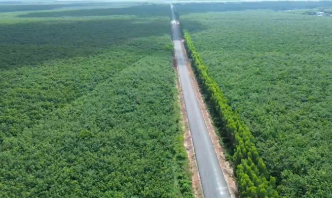 Con đường xuyên rừng cao su tại thành phố giàu nhất Việt Nam: Gặp khó khăn, phải lùi kế hoạch thông xe nửa năm- Ảnh 2. Con đường xuyên rừng cao su tại thành phố giàu nhất Việt Nam: Gặp khó khăn, phải lùi kế hoạch thông xe nửa năm- Ảnh 2.