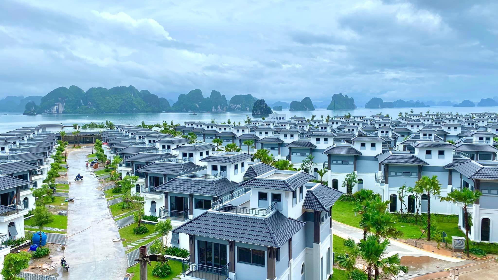 Thị trường bất động sản du lịch - nghỉ dưỡng cuối năm 2026: Tái cấu trúc, chọn lọc và bứt phá cùng APEC 2027 - Ảnh 3.