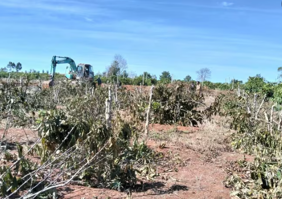 Khẩn trương triển khai cao tốc gần 44.000 tỷ băng qua 2 con đèo hiểm trở chạy dọc tỉnh lớn thứ 2 Việt Nam- Ảnh 1.