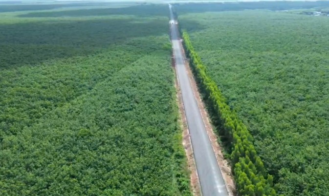 Sắp ‘lên đời’ tuyến đường hơn 80km đi xuyên vùng Đông Nam Bộ- Ảnh 1.