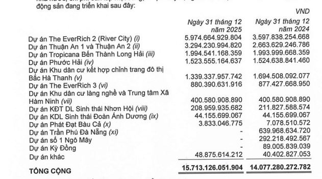 Lợi nhuận Phát Đạt (PDR) tăng đột biến: Tiền đến từ đâu khi doanh thu vẫn ì ạch?- Ảnh 3.