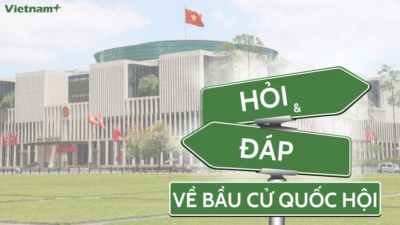 Bầu cử Quốc hội và HĐND: Cách thức ghi số thẻ cử tri theo danh sách cử tri?- Ảnh 1.