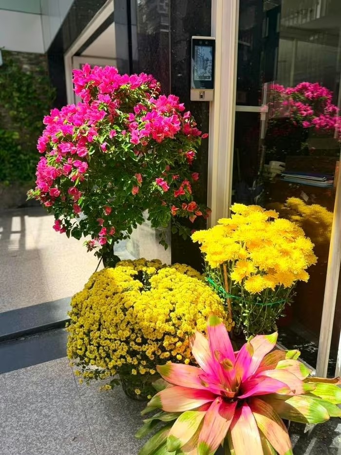 Căn biệt thự 1.000m2 ngập tràn cây trái giữa lòng thành phố của giọng ca đình đám một thời: Nội thất được khảm trai điêu khắc cầu kỳ- Ảnh 3. Căn biệt thự 1.000m2 ngập tràn cây trái giữa lòng thành phố của giọng ca đình đám một thời: Nội thất được khảm trai điêu khắc cầu kỳ- Ảnh 3.