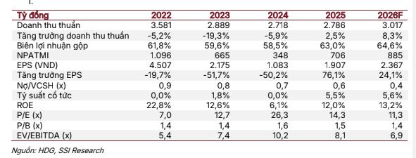 Hà Đô trước bài toán Charm Villas: SSI hạ mạnh dự báo, động lực bất động sản chững lại?- Ảnh 3. Hà Đô trước bài toán Charm Villas: SSI hạ mạnh dự báo, động lực bất động sản chững lại?- Ảnh 3.