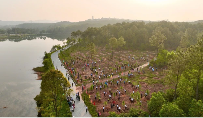 Công viên nước bỏ hoang gần 20 năm của Việt Nam liên tục xuất hiện trên báo nước ngoài, hiện trạng gây bất ngờ- Ảnh 4. Công viên nước bỏ hoang gần 20 năm của Việt Nam liên tục xuất hiện trên báo nước ngoài, hiện trạng gây bất ngờ- Ảnh 4.