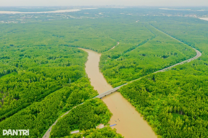 Việt Nam sắp có khu du lịch sinh thái rừng phòng hộ gần 35.000ha trải dài 4 xã tại thành phố giàu nhất cả nước- Ảnh 1.