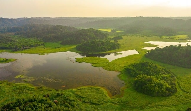 Tỉnh giàu nhất Việt Nam đẩy nhanh triển khai dự án du lịch sinh thái thứ 3, tọa lạc tại vườn quốc gia đầu tiên 'chạm tay' đến danh hiệu tầm quốc tế- Ảnh 1. Tỉnh giàu nhất Việt Nam đẩy nhanh triển khai dự án du lịch sinh thái thứ 3, tọa lạc tại vườn quốc gia đầu tiên 'chạm tay' đến danh hiệu tầm quốc tế- Ảnh 1.