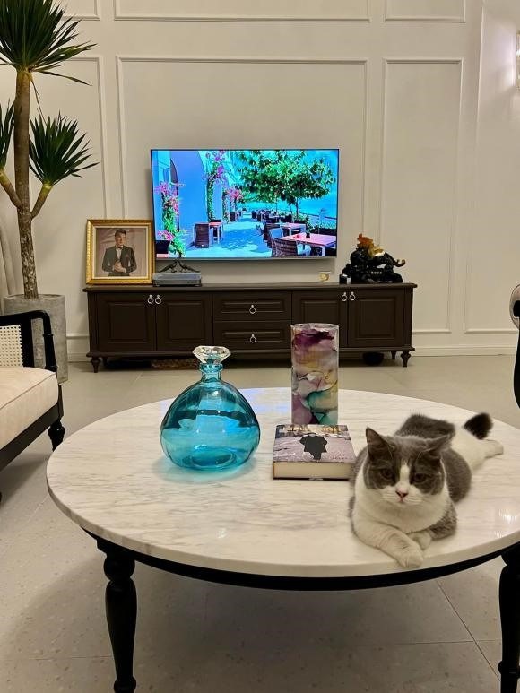 Có gì bên trong căn biệt thự 18 tỷ đồng tại Mỹ của em trai Hoài Linh đang được rao bán gấp?- Ảnh 3. Có gì bên trong căn biệt thự 18 tỷ đồng tại Mỹ của em trai Hoài Linh đang được rao bán gấp?- Ảnh 3.