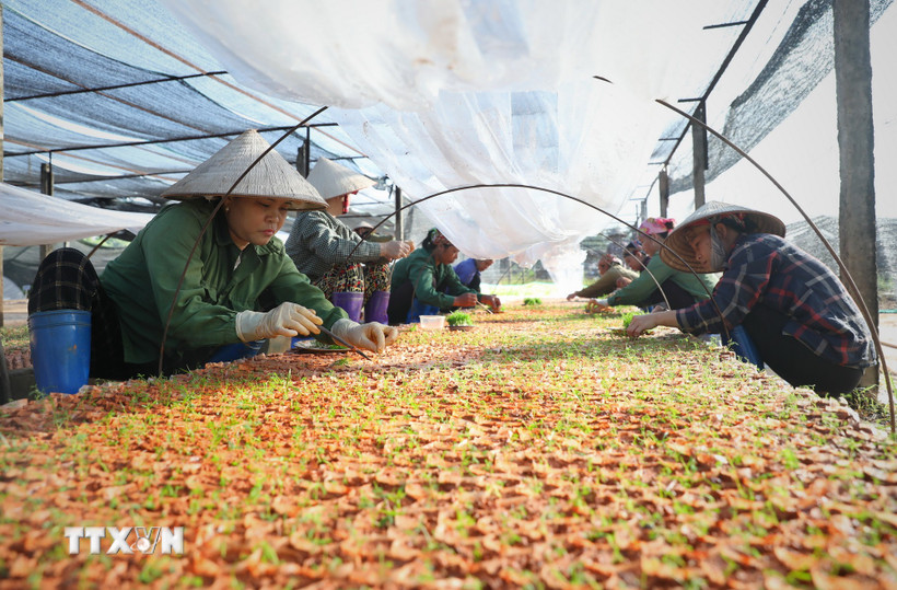 Nghị quyết 68-NQ/TW: Động lực để Việt Nam bứt phá tới ngưỡng thu nhập cao- Ảnh 1.