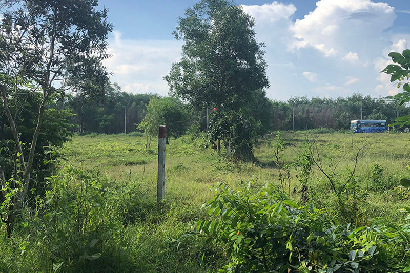 Từ giờ, siết điều kiện tách thửa đất trồng cây lâu năm- Ảnh 1.