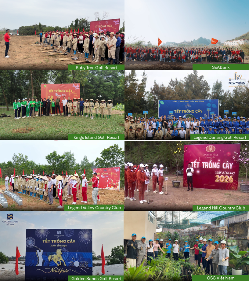 Tập đoàn BRG trồng gần 1,1 triệu cây xanh - khẳng định trách nhiệm với cộng đồng- Ảnh 3.