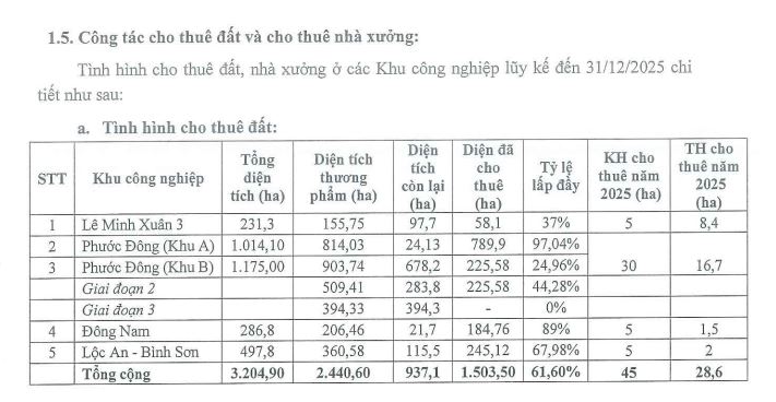 SIP đặt kế hoạch đi lùi sau năm bứt phá, lợi nhuận dự kiến giảm 40%- Ảnh 4.