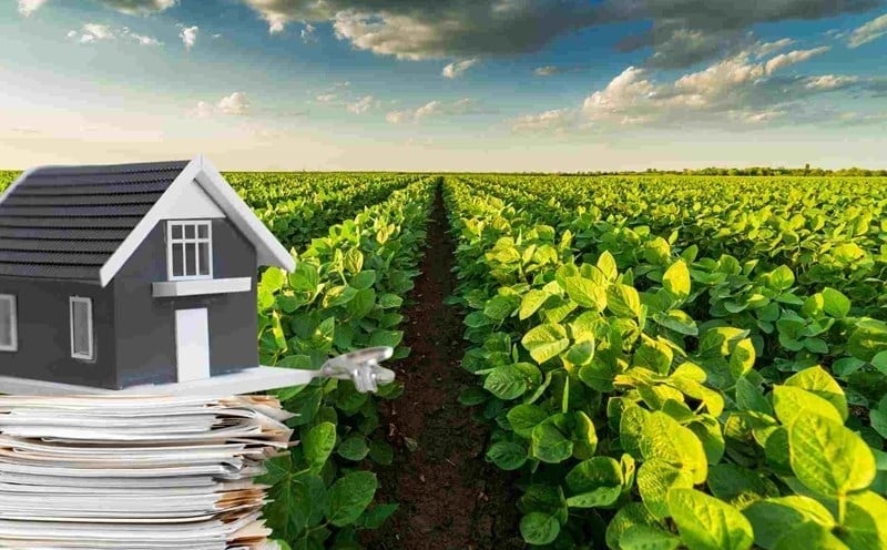Từ nay, người dân được giảm tiền sử dụng đất khi chuyển đất nông nghiệp sang đất ở- Ảnh 1. Từ nay, người dân được giảm tiền sử dụng đất khi chuyển đất nông nghiệp sang đất ở- Ảnh 1.
