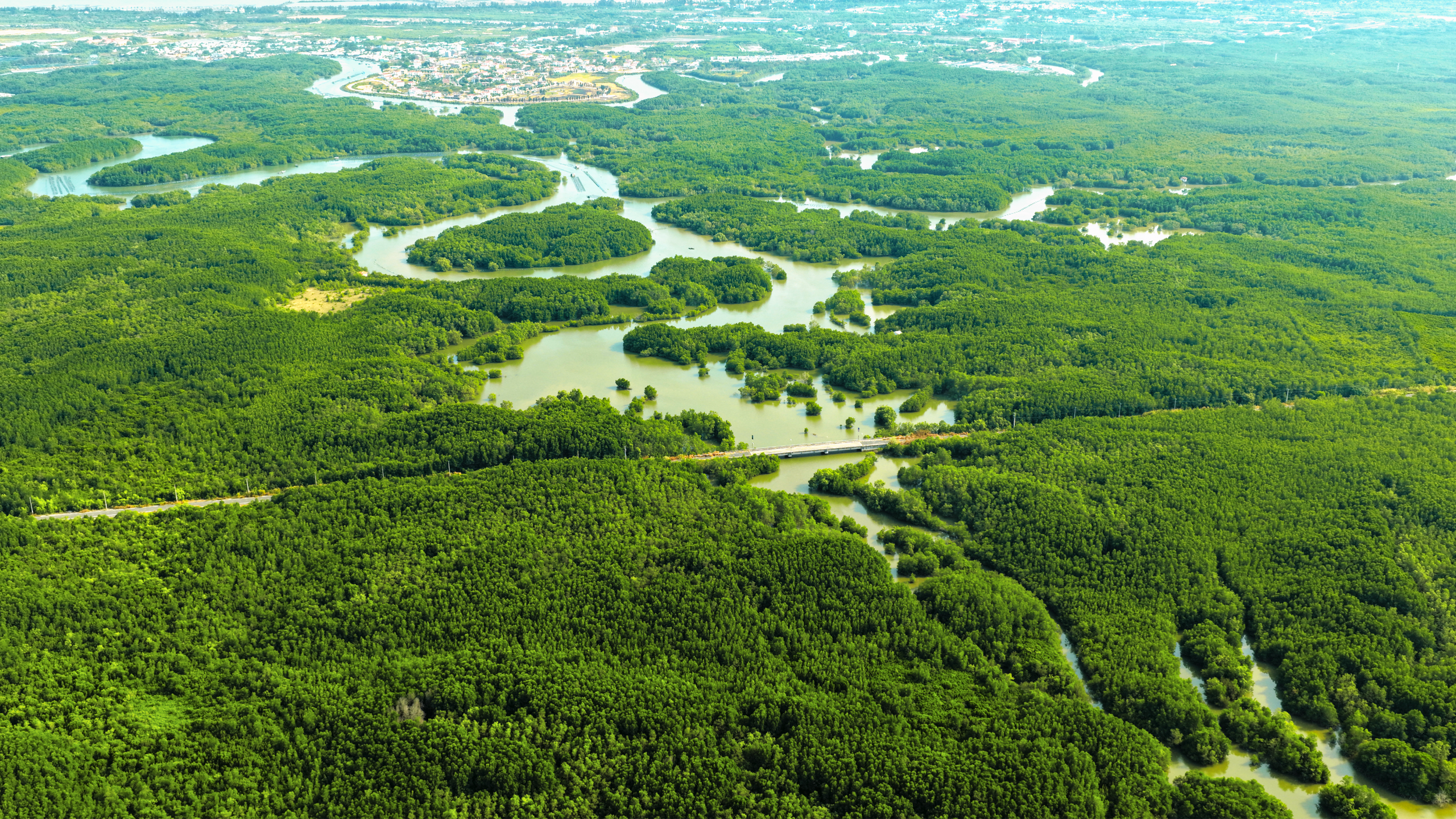 TP.HCM: Cần Giờ 'thay da đổi thịt' nhờ 5 dự án hạ tầng chiến lược