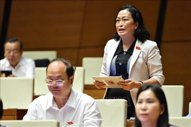 Sẽ giám sát để đánh giá năng lực thực thi của chính quyền địa phương 2 cấp- Ảnh 2.