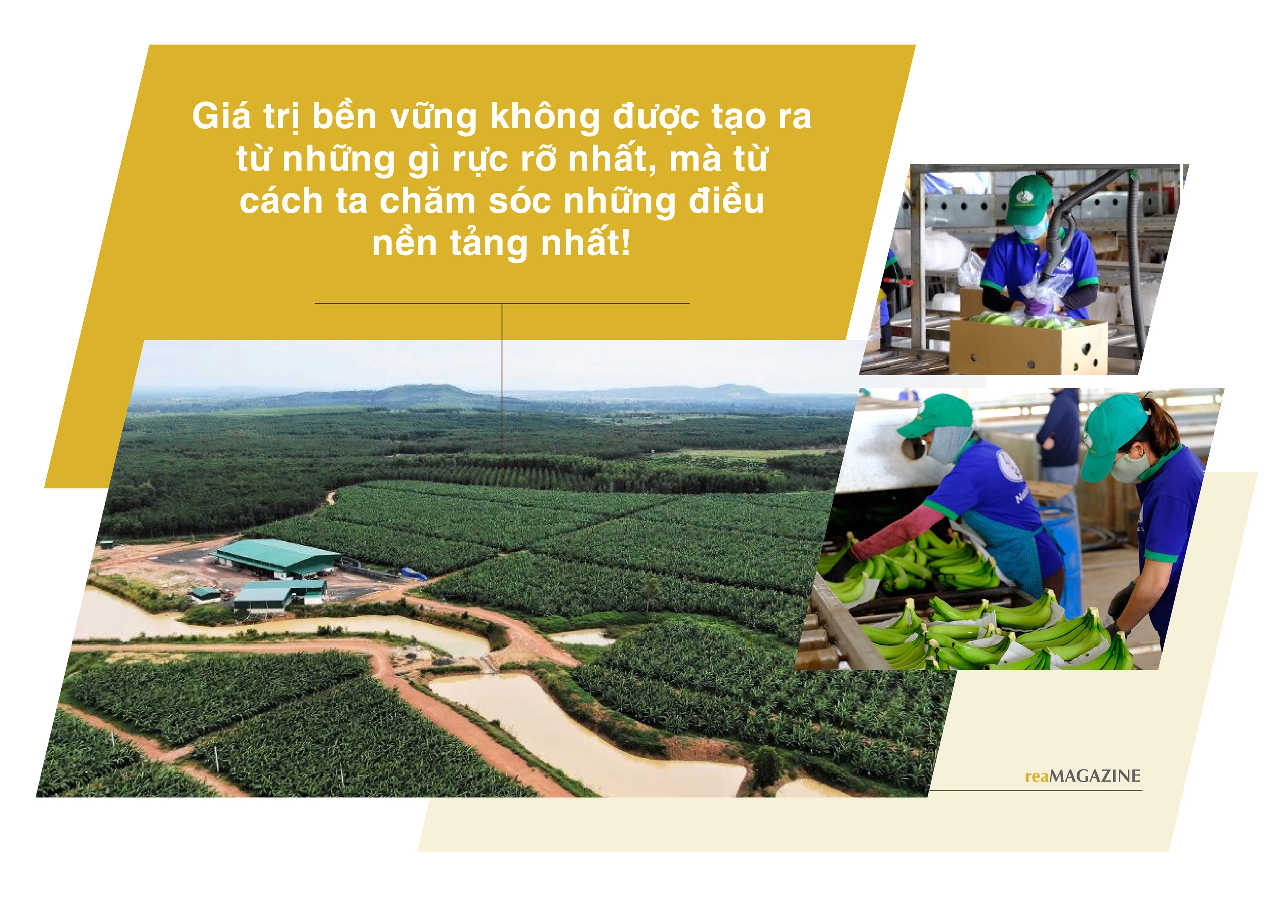 KDI Group: Hành trình 10 năm từ khát vọng kiến tạo đến hệ sinh thái đa ngành- Ảnh 18.