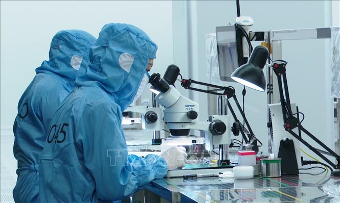 Kiện toàn Ban Chỉ đạo phát triển khoa học, công nghệ, đổi mới sáng tạo, chuyển đổi số và Đề án 06- Ảnh 1.