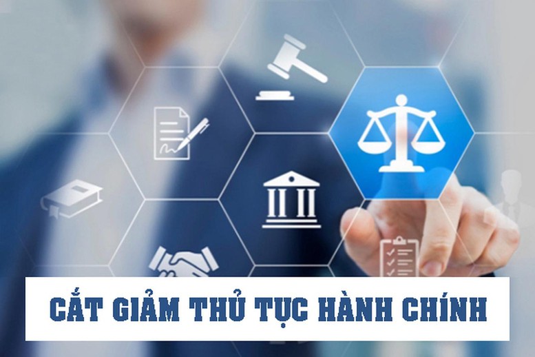 Chính phủ ban hành 8 Nghị quyết cắt giảm, phân cấp, đơn giản hóa thủ tục hành chính, điều kiện kinh doanh- Ảnh 1.