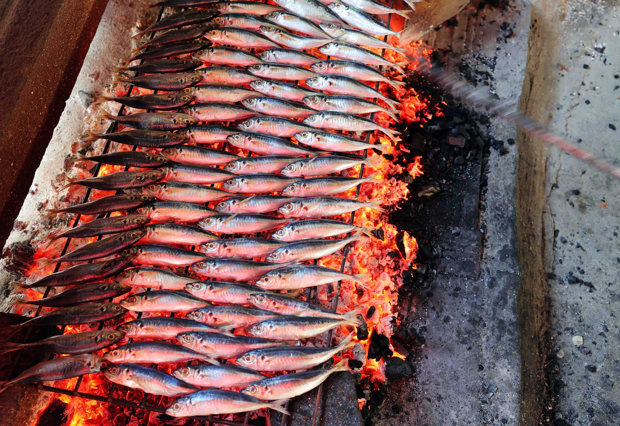 Photo Travel: Cá trích nướng, món ăn dân dã gây sốt ở Nghệ An