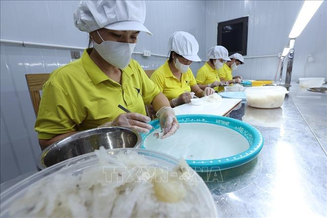 Ban hành 8 nghị quyết cắt giảm, phân cấp, đơn giản hóa thủ tục hành chính, điều kiện kinh doanh- Ảnh 1.