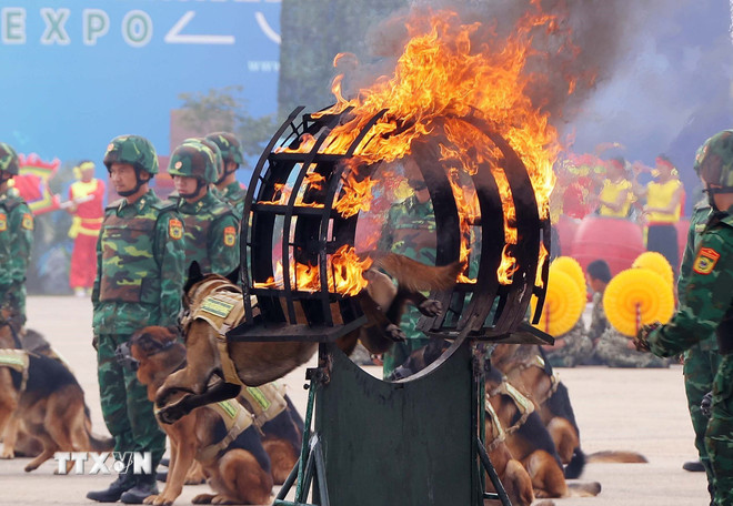 Tăng tốc bứt phá, quyết tâm thực hiện thắng lợi Nghị quyết Đại hội XIV của Đảng- Ảnh 8.