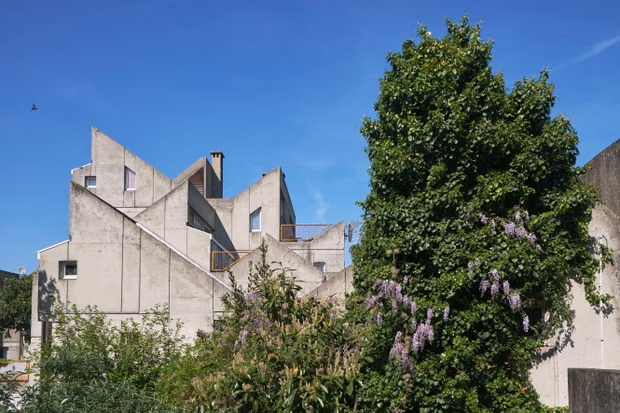 Vườn treo giữa tầng không: Kiến trúc “thô mộc sinh thái” phá vỡ mọi khuôn mẫu của KTS Renée Gailhoustet- Ảnh 3.