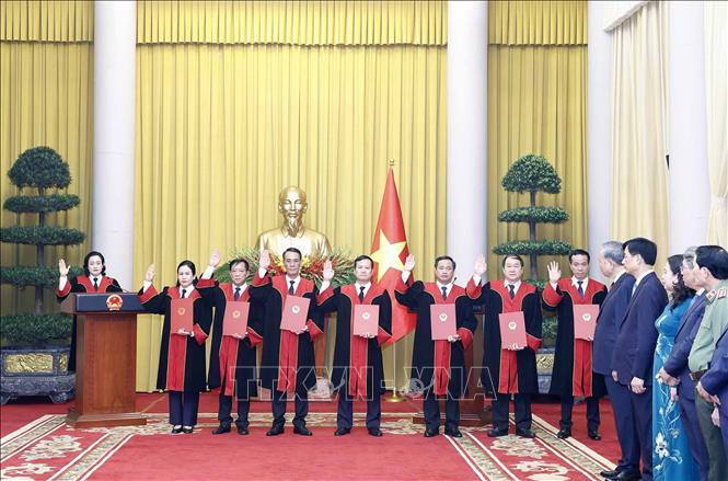 Tổng Bí thư, Chủ tịch nước Tô Lâm trao quyết định bổ nhiệm Thẩm phán TAND tối cao- Ảnh 4.