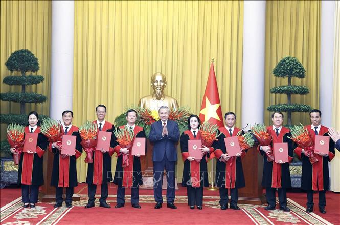 Tổng Bí thư, Chủ tịch nước Tô Lâm trao quyết định bổ nhiệm Thẩm phán TAND tối cao- Ảnh 3.