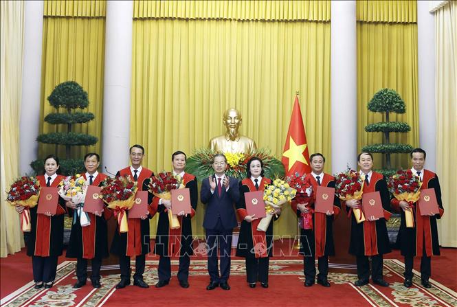 Tổng Bí thư, Chủ tịch nước Tô Lâm trao quyết định bổ nhiệm Thẩm phán TAND tối cao- Ảnh 7.