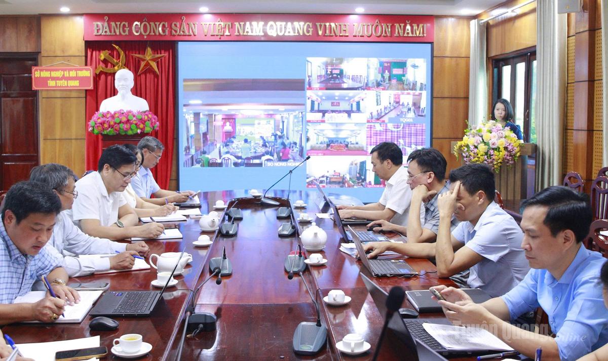 Tuyên Quang: Tập huấn trực tuyến về đo đạc, đăng ký đất đai- Ảnh 1.