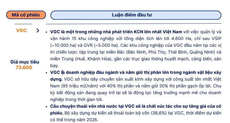 Viglacera (VGC) trong chu kỳ mới của BĐS công nghiệp: Cơ hội nào sau lợi thế về quỹ đất?- Ảnh 1.