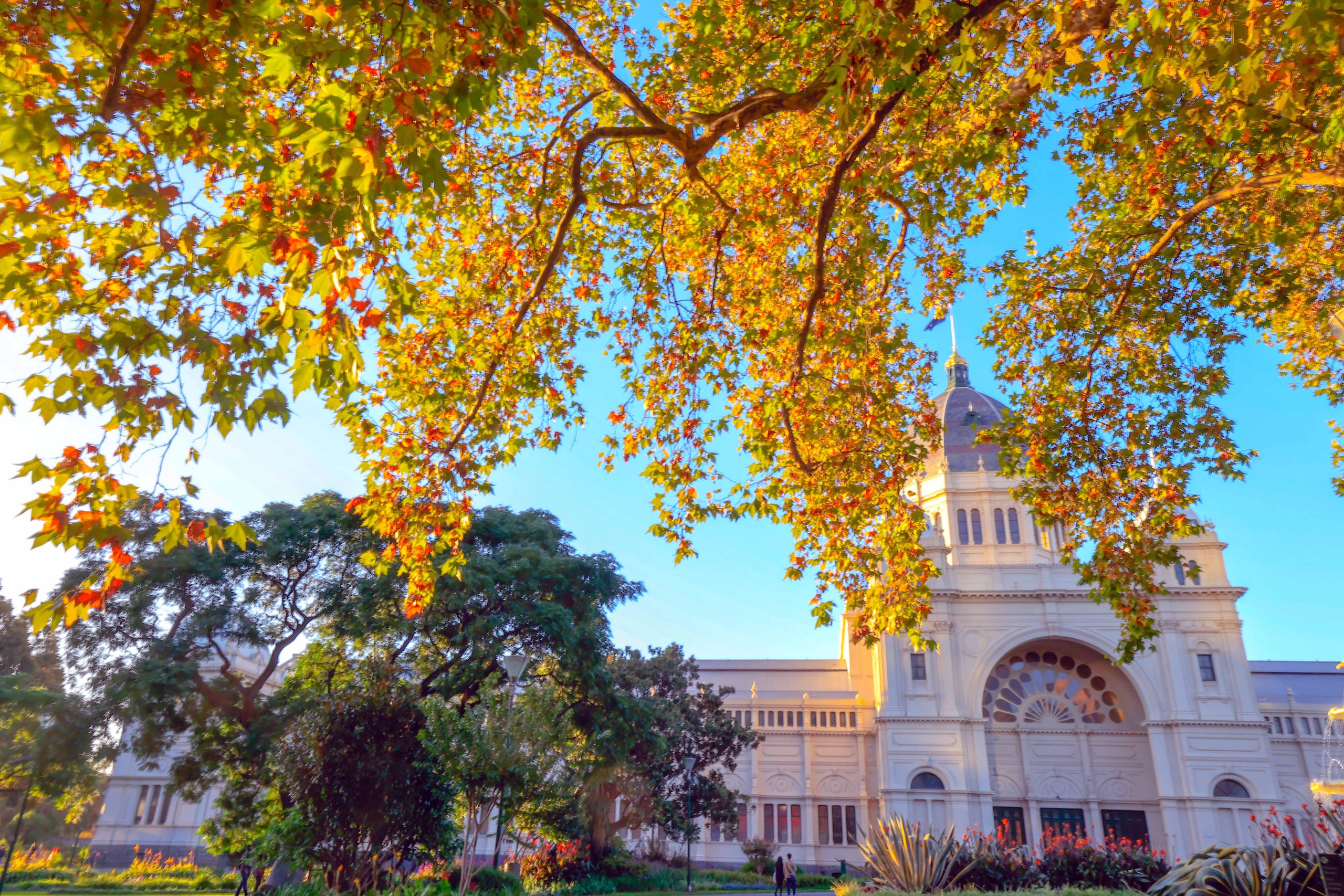 Photo Travel: Carlton, khu vườn di sản giữa trái tim Melbourne