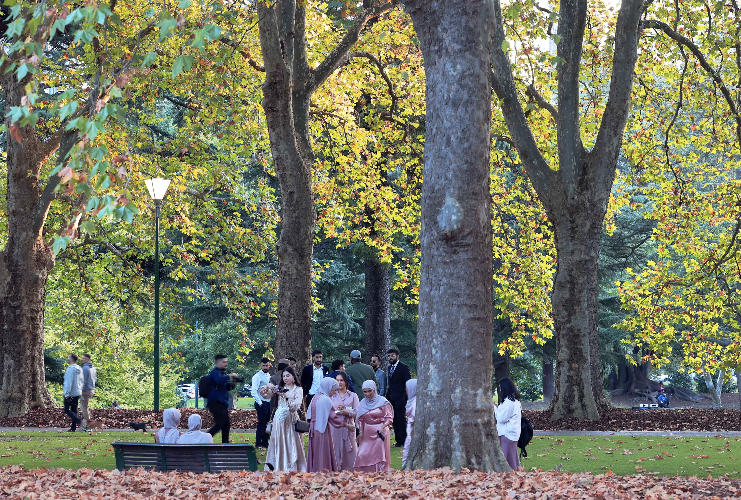 Photo Travel: Carlton, khu vườn di sản giữa trái tim Melbourne- Ảnh 2. Photo Travel: Carlton, khu vườn di sản giữa trái tim Melbourne- Ảnh 2.