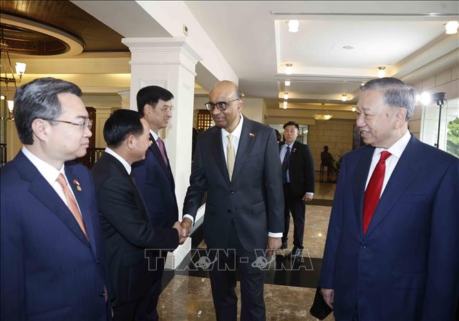Lễ đón Tổng Bí thư, Chủ tịch nước Tô Lâm và Phu nhân thăm cấp Nhà nước CH Singapore- Ảnh 6.