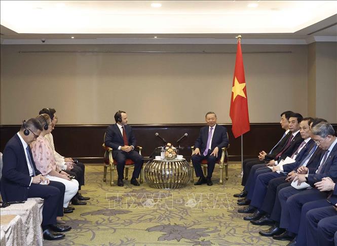 Tổng Bí thư, Chủ tịch nước Tô Lâm tiếp một số tổ chức và doanh nghiệp tại Philippines- Ảnh 3.