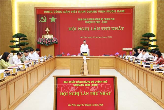 Đảng bộ Chính phủ nâng cao hiệu lực lãnh đạo, đáp ứng yêu cầu nhiệm vụ mới- Ảnh 3.