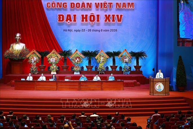 Thủ tướng: Đưa năng suất lao động trở thành động lực quan trọng của tăng trưởng bền vững- Ảnh 12.