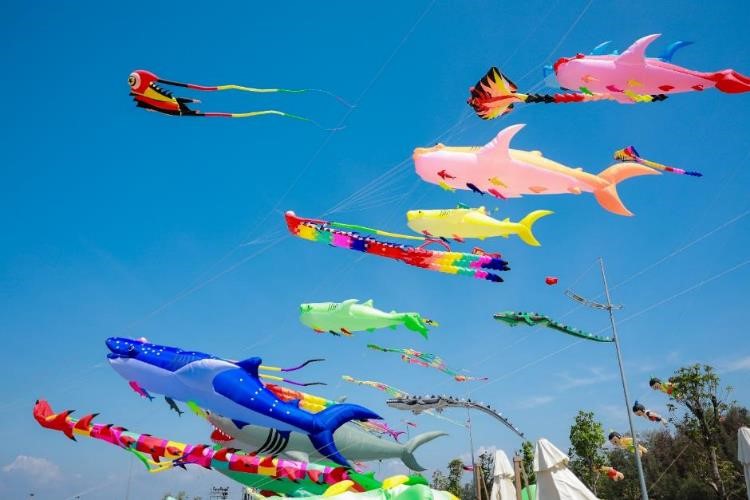 Hàng nghìn người đổ về siêu lễ hội Paradise Summer Fest, hình hài siêu điểm đến Cần Giờ ngày càng rõ nét- Ảnh 4.