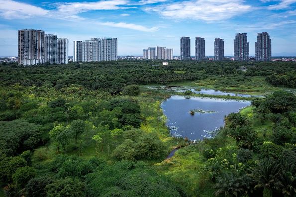 Hơn hai thập kỷ tiên phong kiến tạo bất động sản xanh: Hành trình của Ecopark và sự thay đổi chuẩn sống đô thị Việt Nam - Ảnh 2.