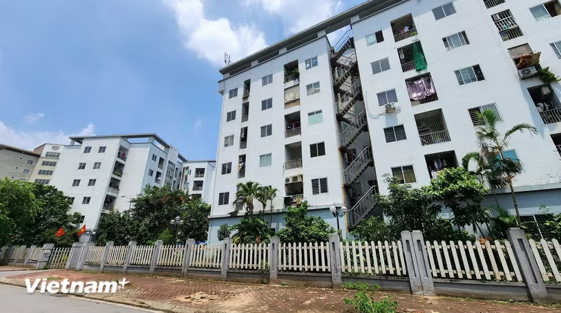 Chính phủ quy định 22 trường hợp được miễn thuế thu nhập cá nhân - Ảnh 1.
