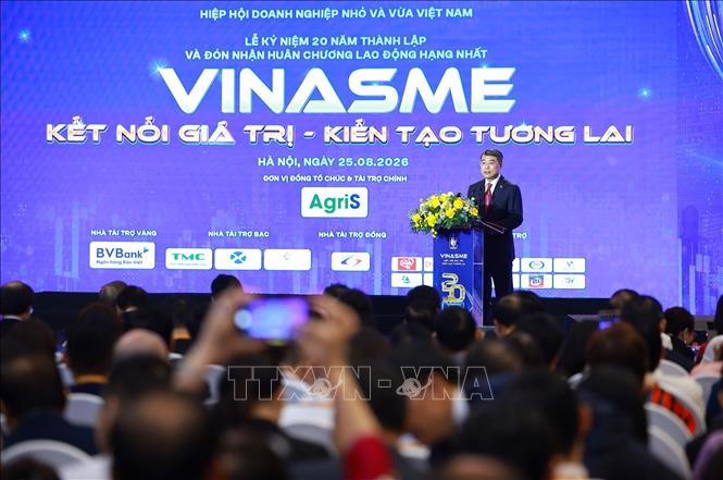 Thủ tướng Lê Minh Hưng: Doanh nghiệp nhỏ và vừa phải trở thành nền tảng vững chắc và nguồn bổ sung cho doanh nghiệp vừa và doanh nghiệp lớn - Ảnh 3.